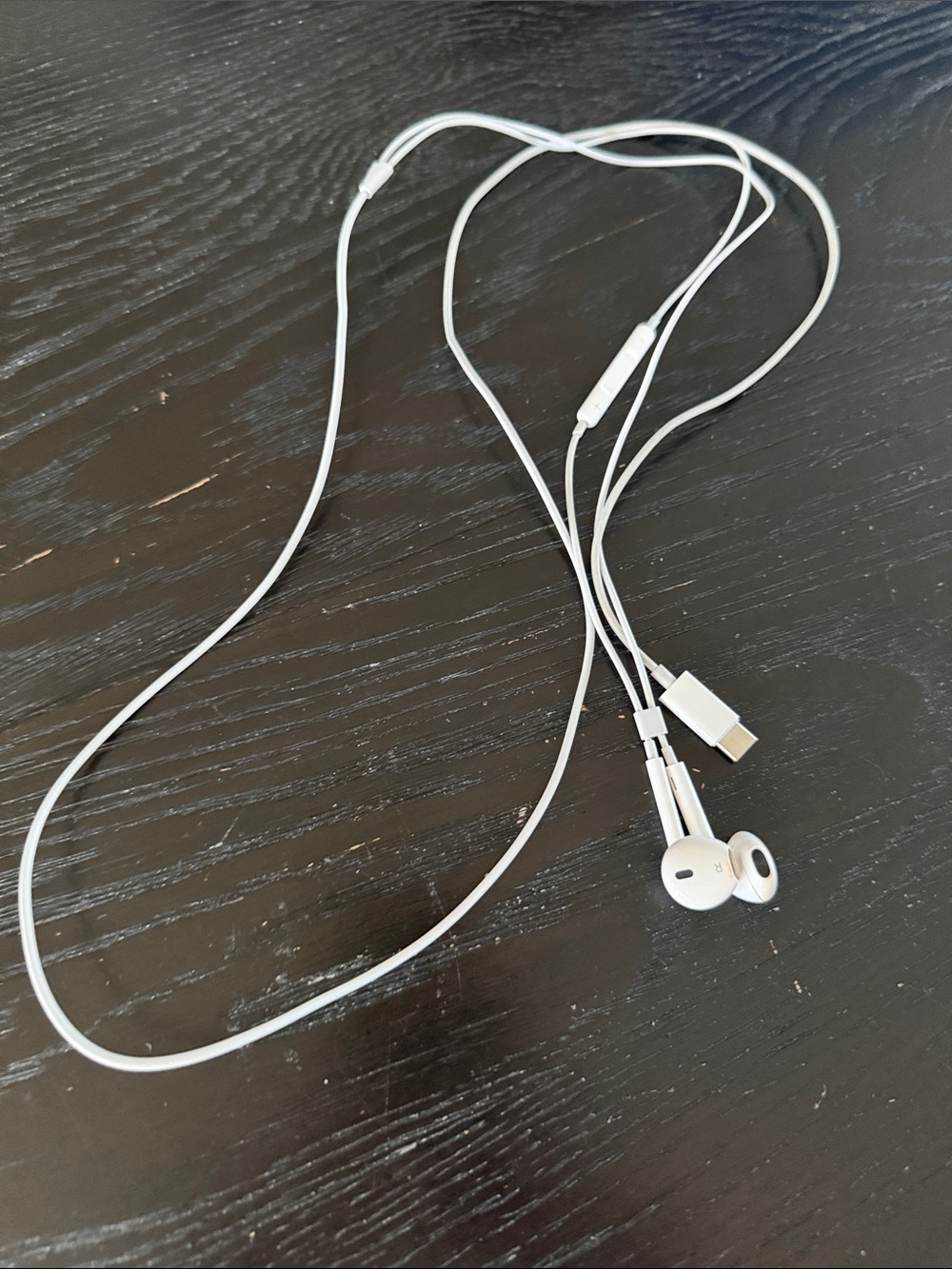 iPod earphones